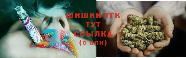 мдпв Дмитриев