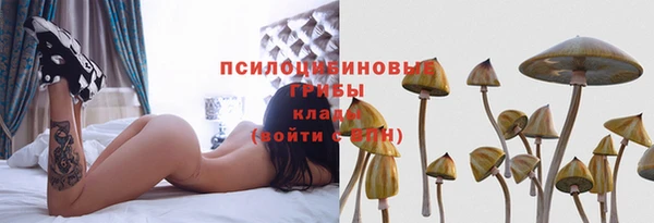 мдпв Дмитриев