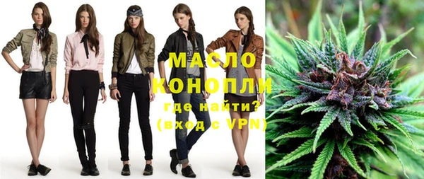мдпв Дмитриев