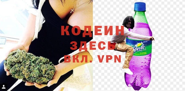 мдпв Дмитриев