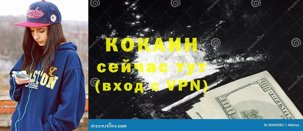 мдпв Дмитриев