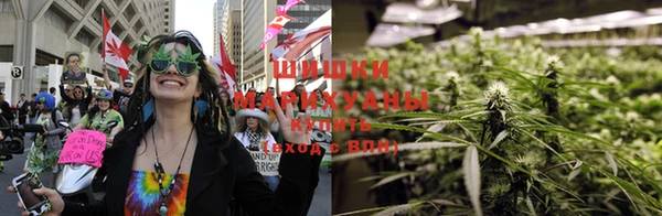 мдпв Дмитриев