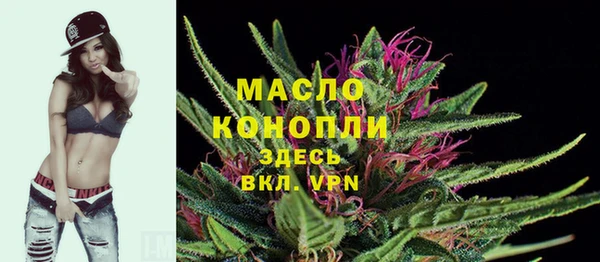 мдпв Дмитриев